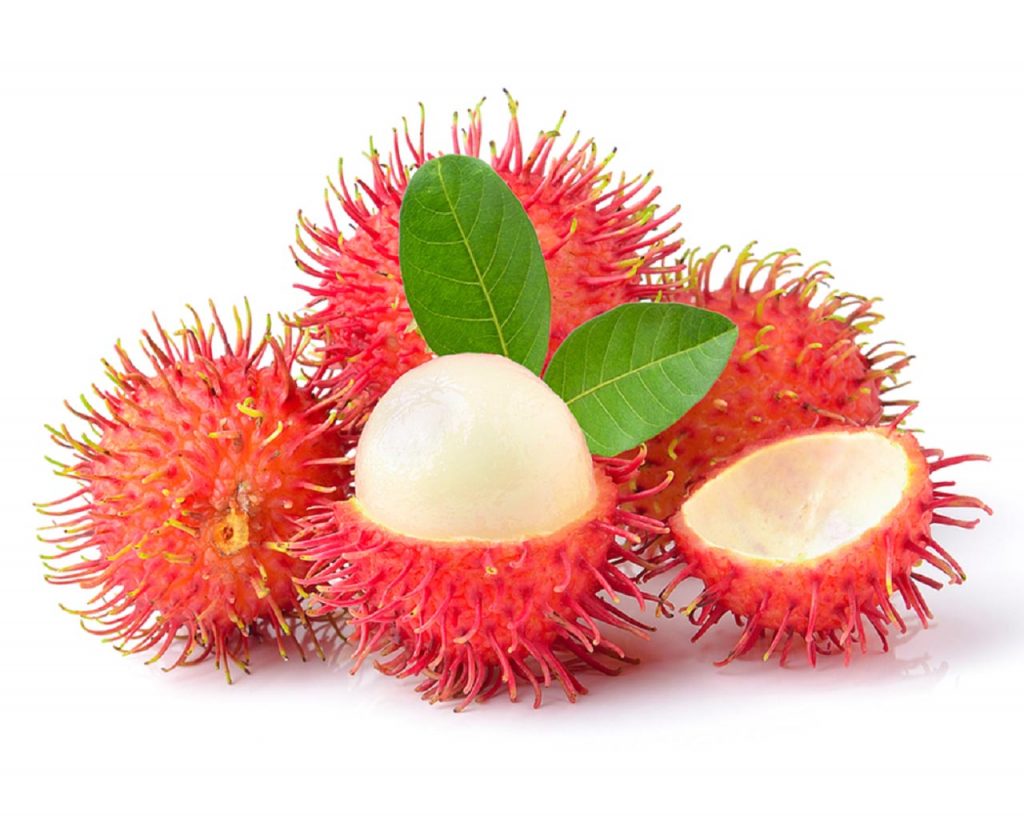 Sản phẩm
